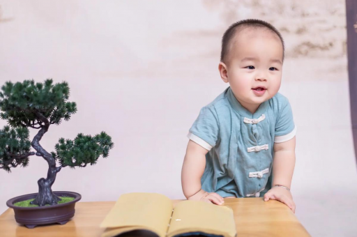 潮州可爱的企鹅宝宝